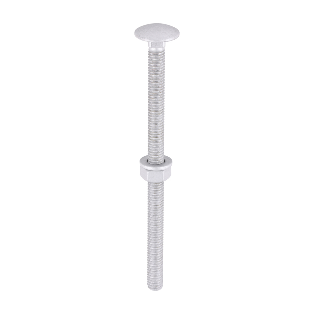 Carriage Bolt Exterior - SO