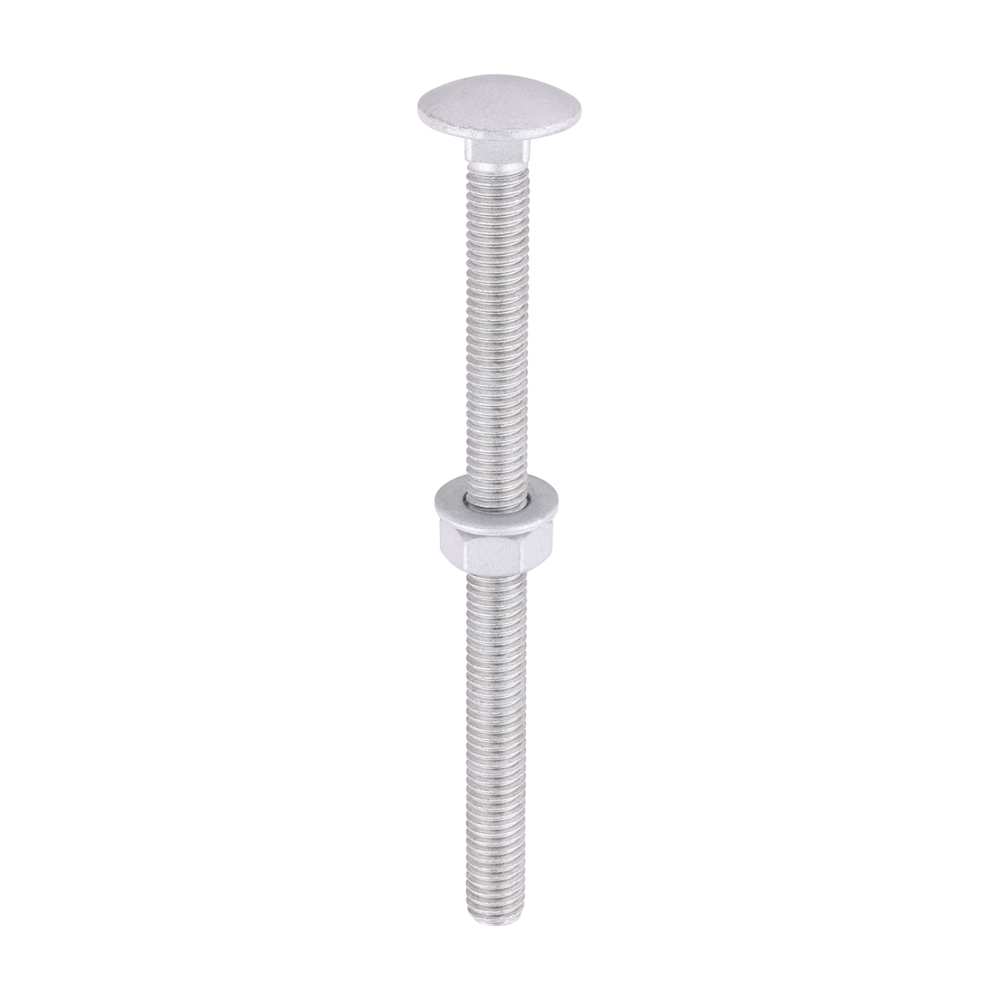 Carriage Bolt Exterior - SO