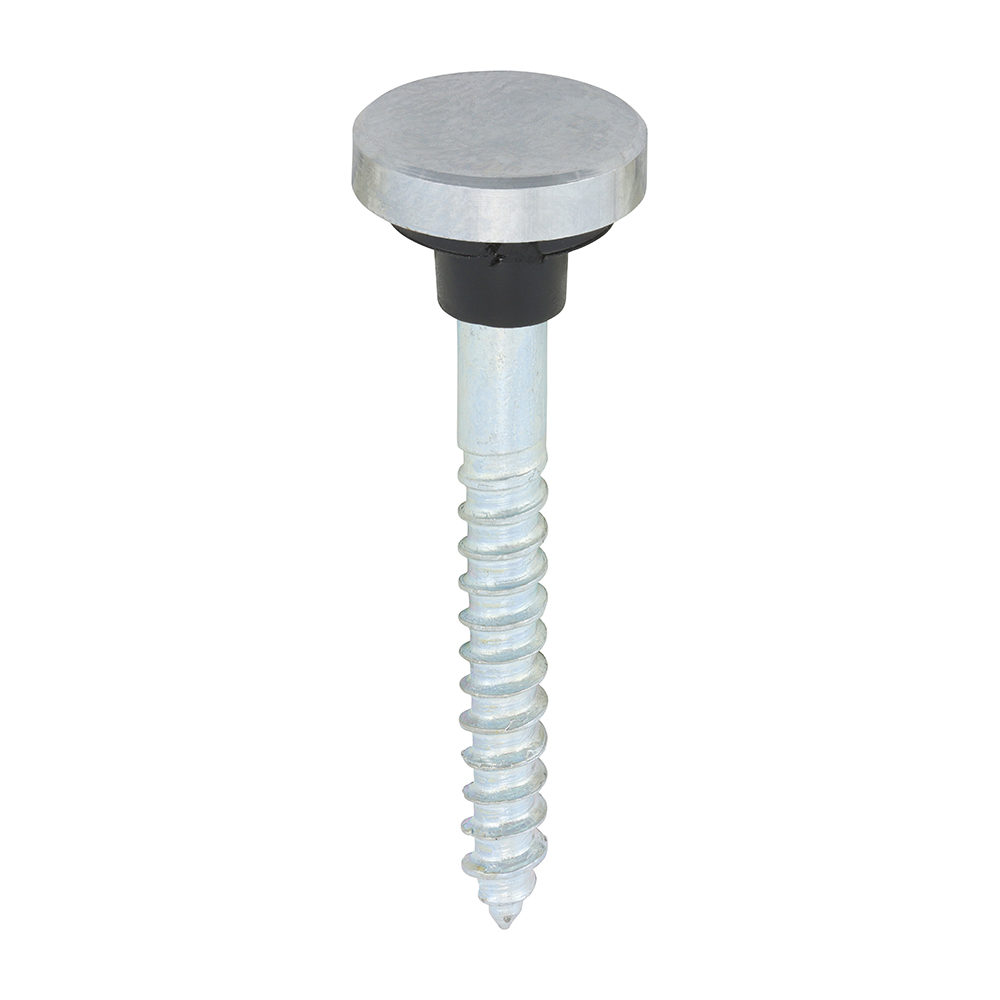 Mirror Screw Flat - Chrome