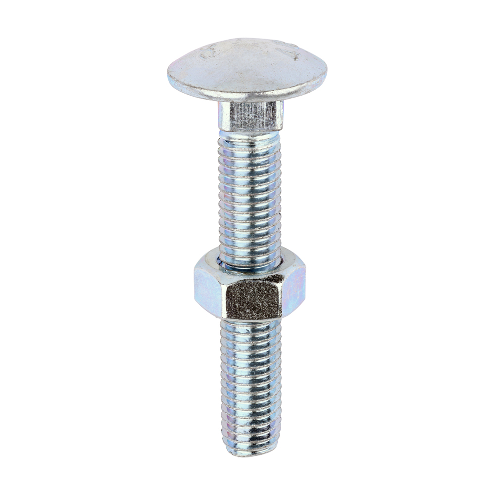 Carriage Bolt & Hex Nut - BZP - Image 1