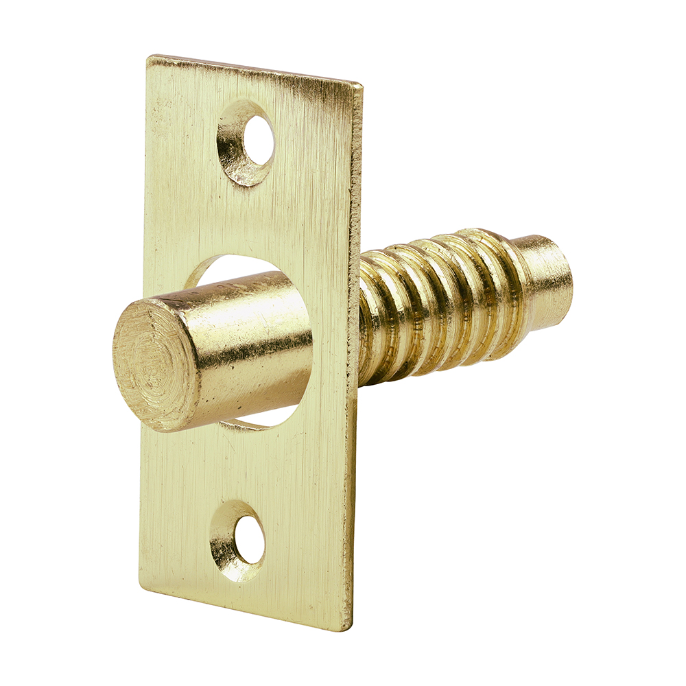 Hinge Bolts Electro Brass
