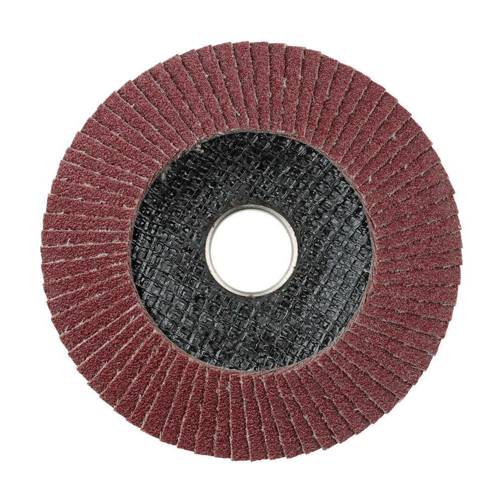 Flap Disc Alu Oxide P80 Set - Image 2