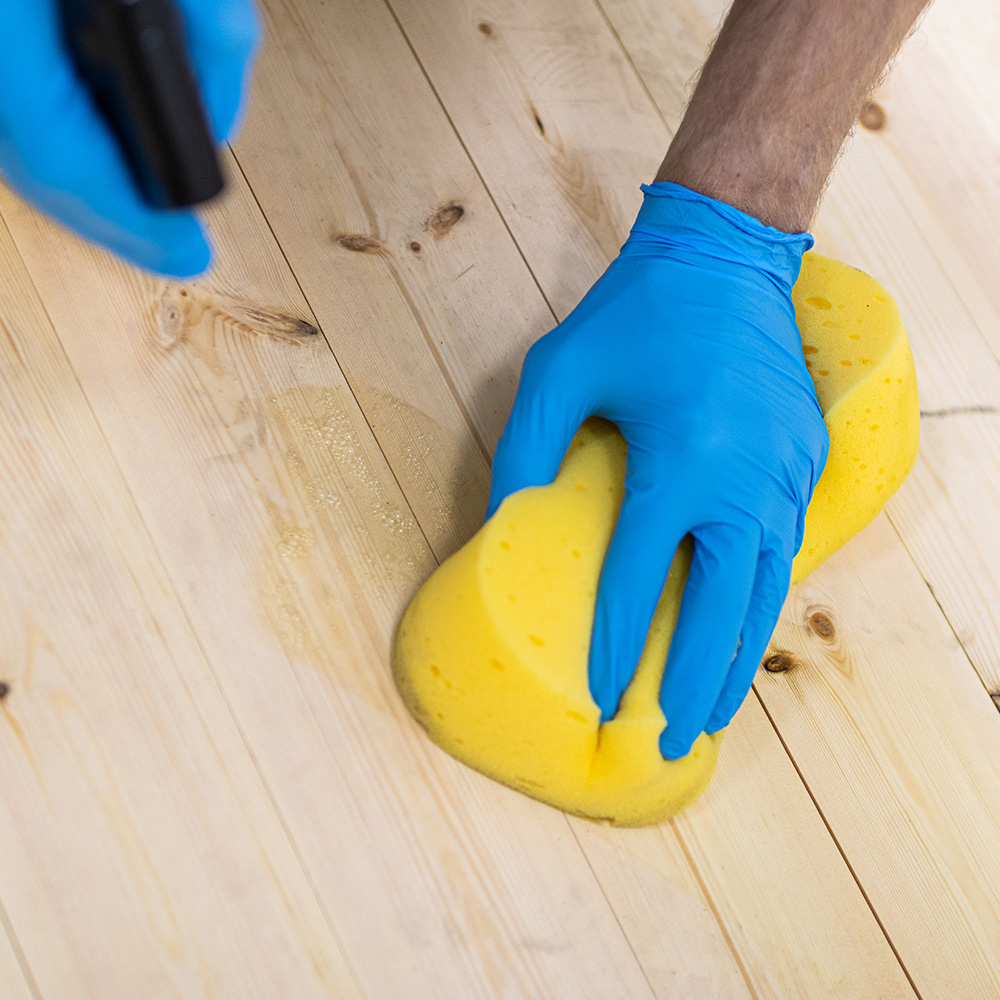 Jumbo Sponge - Image 3