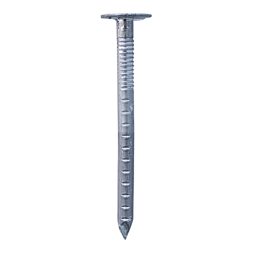 Clout Nail - Aluminium - Image 1