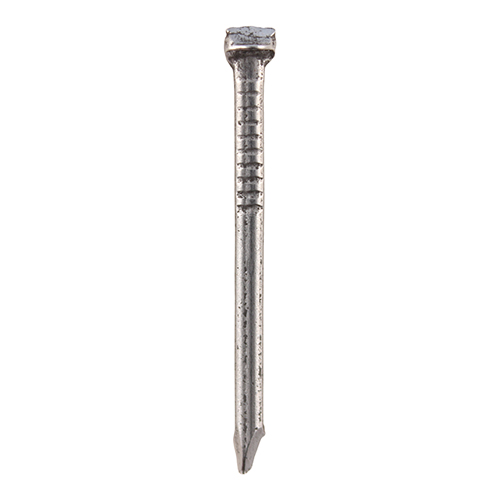 Oval Nail - Bright - Image 1