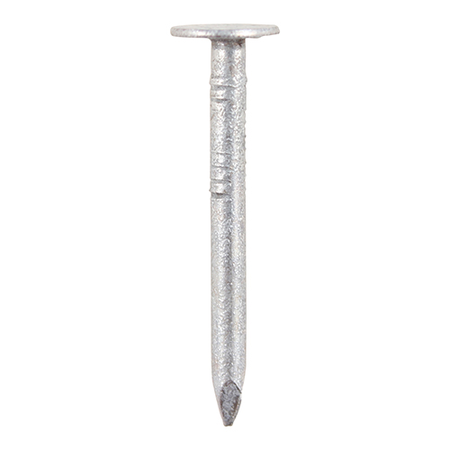 Clout Nails - Galvanised - Image 1