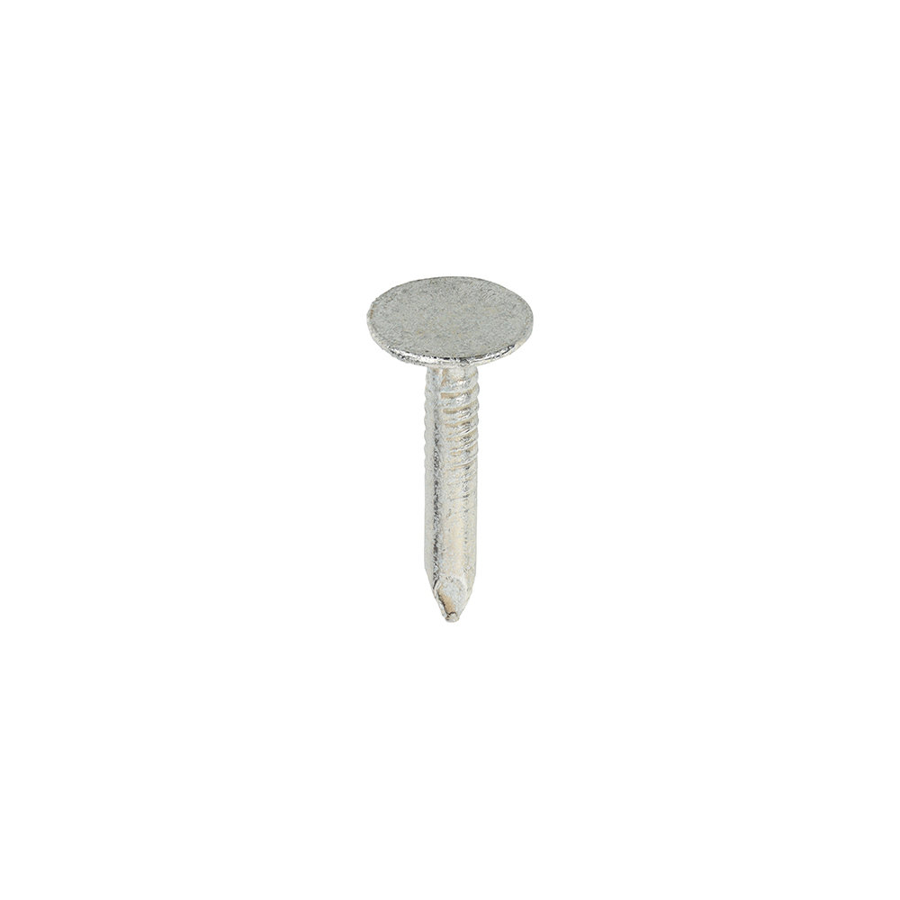 Clout Nail ELH - Galvanised