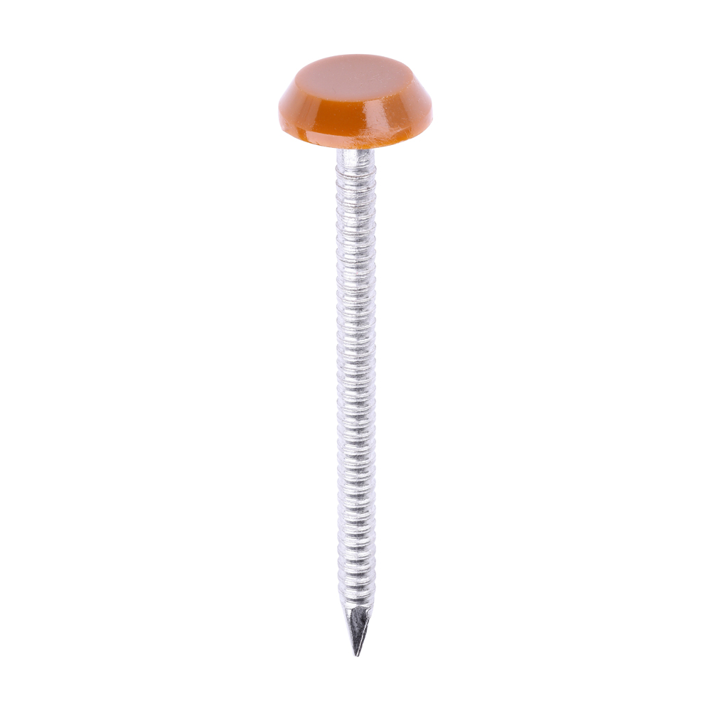 Polymer Headed Nail C BROWN