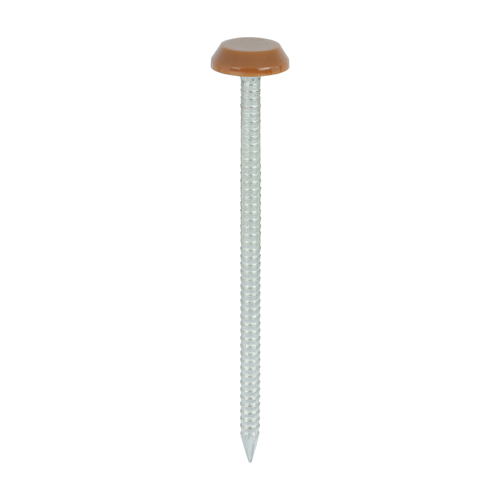 Polymer Headed Nail C BROWN