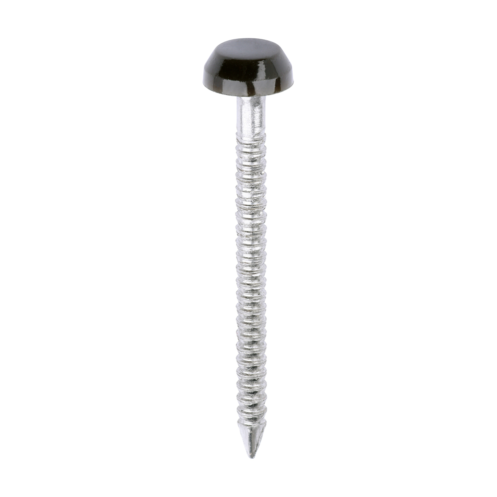 Polymer Headed Pin MAHOGANY - Image 1