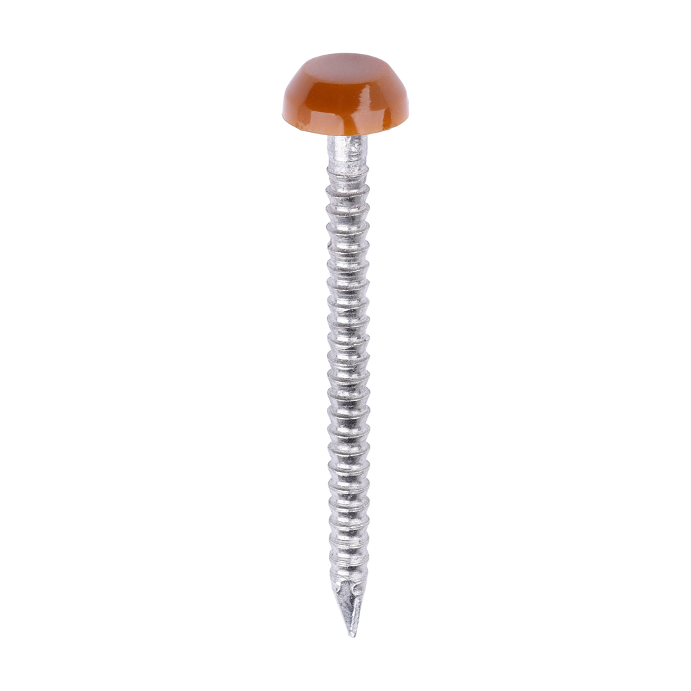 Polymer Headed Pin C BROWN - Image 1
