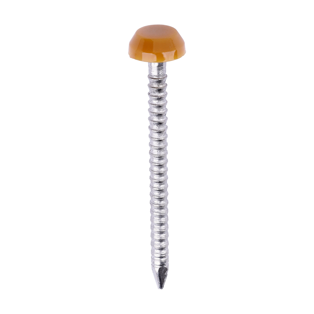 Polymer Headed Pin OAK - Image 1