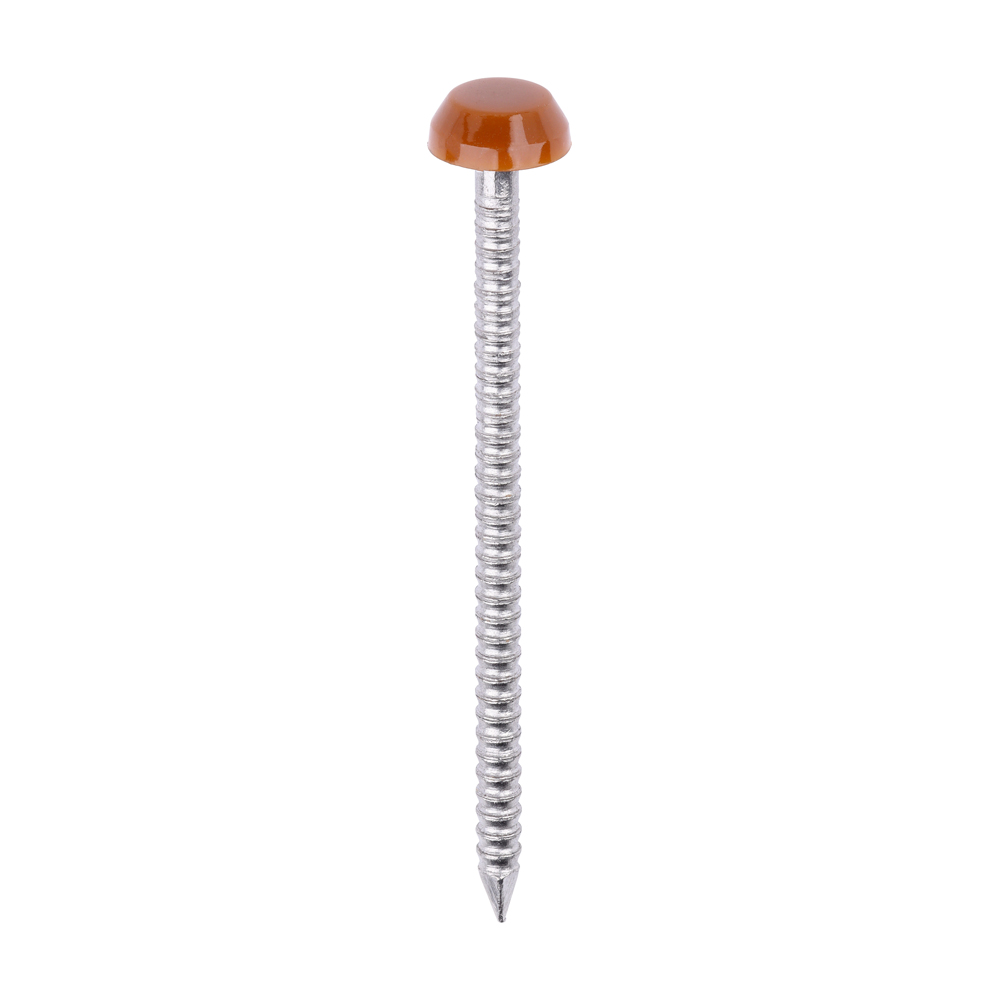 Polymer Headed Pin C BROWN - Image 1