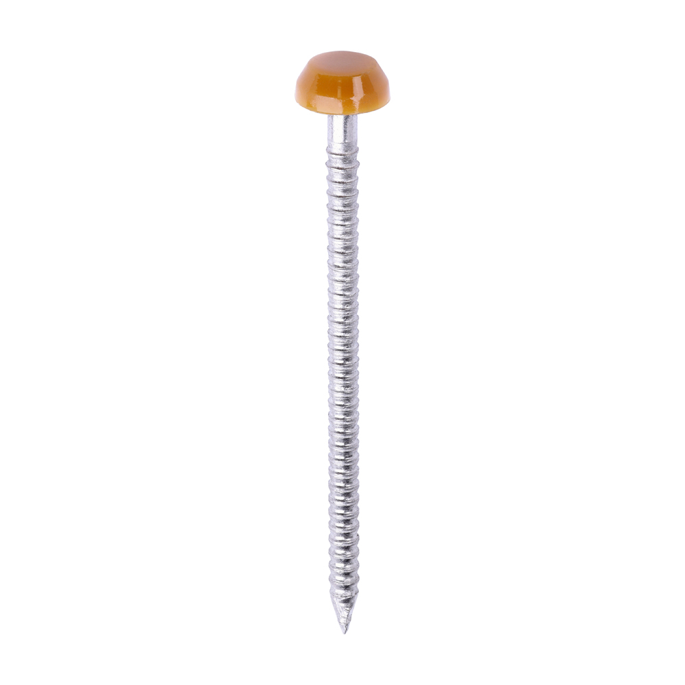 Polymer Headed Pin OAK - Image 1