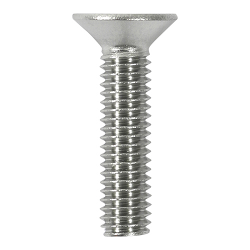Countersunk Socket Screws A2SS