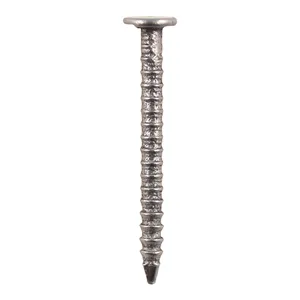 Annular Ringshank - Bright