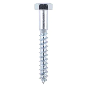 Coach Screw - Zinc