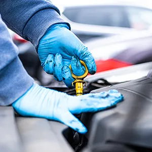 Nitrile Gloves
