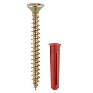 Screws & Plastic Plugs