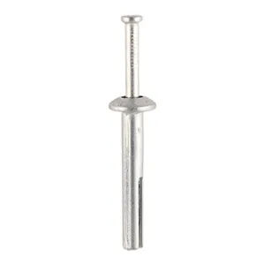 Zamac Nail-In Anchor